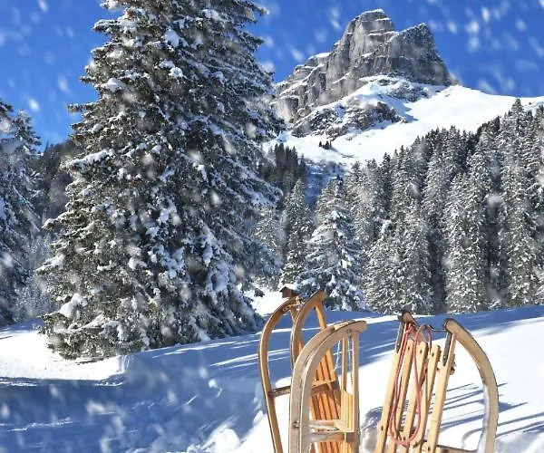 Allod Park Haus C 704 By Interhome Appartement Davos