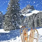 Allod Park Haus C 704 By Interhome Appartement Davos
