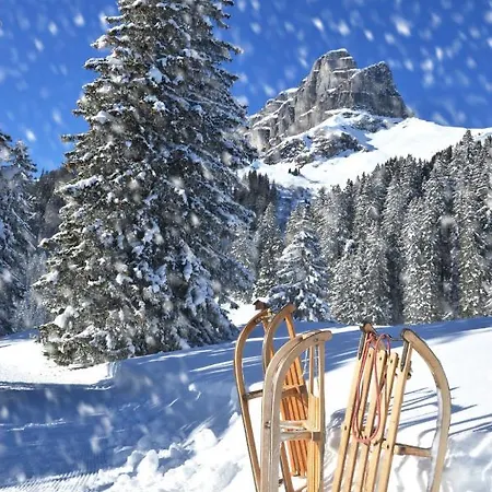 Allod Park Haus C 704 By Interhome Apartmán Davos